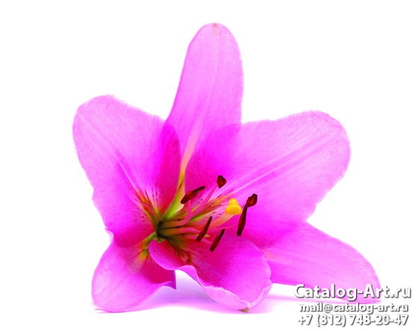 Натяжные потолки с фотопечатью - Розовые лилии 18